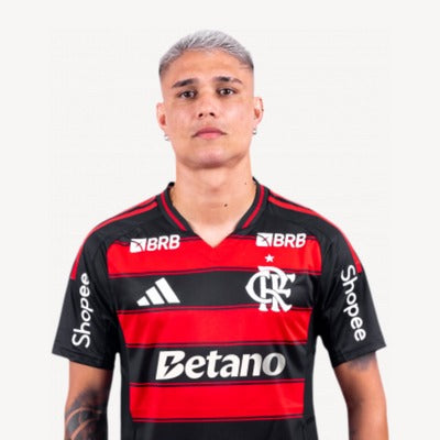 LUIZ ARAUJO
